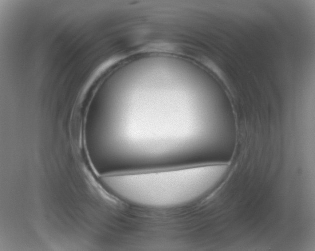 X0000083061123200702021029