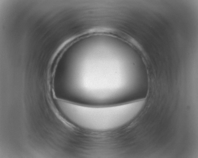 X0000083061124200702021029