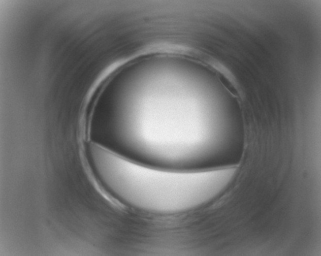 X0000083061128200702021029