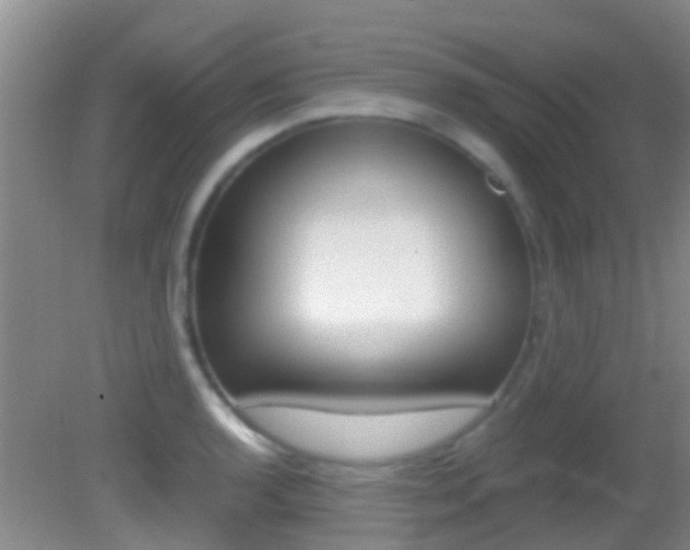 X0000083061136200702021029