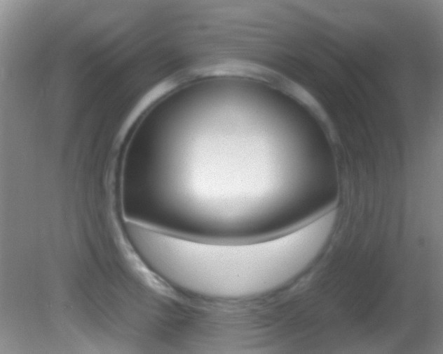 X0000083061138200702021029