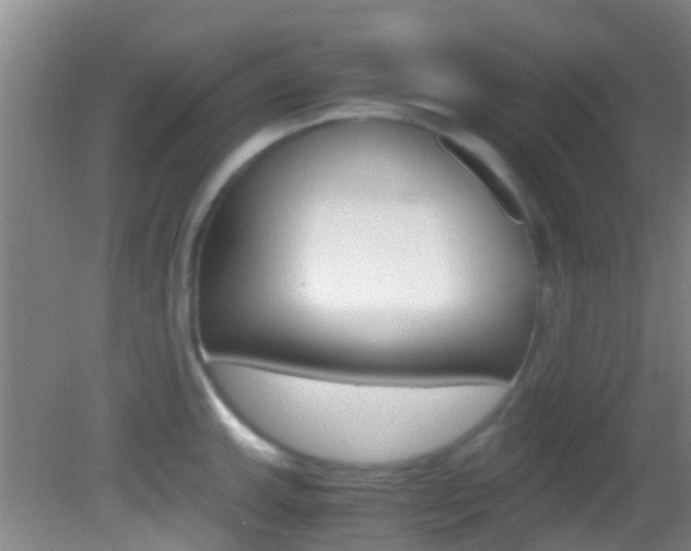 X0000083061143200702021029