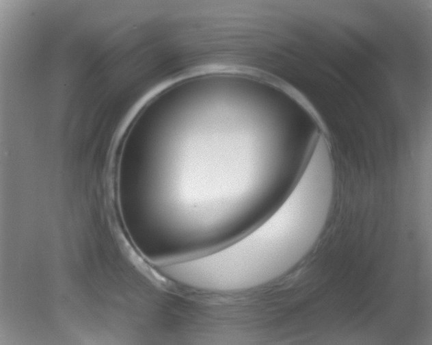 X0000083061148200702021029