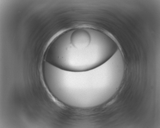 X0000083061149200702021029