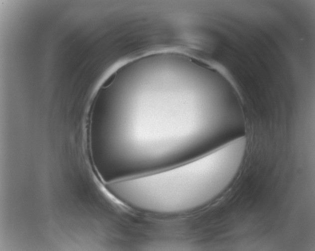 X0000083061151200702021029