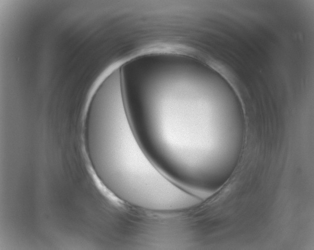 X0000083061152200702021029