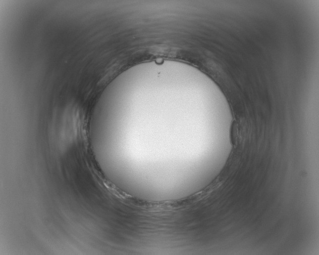 X0000083061154200702021028