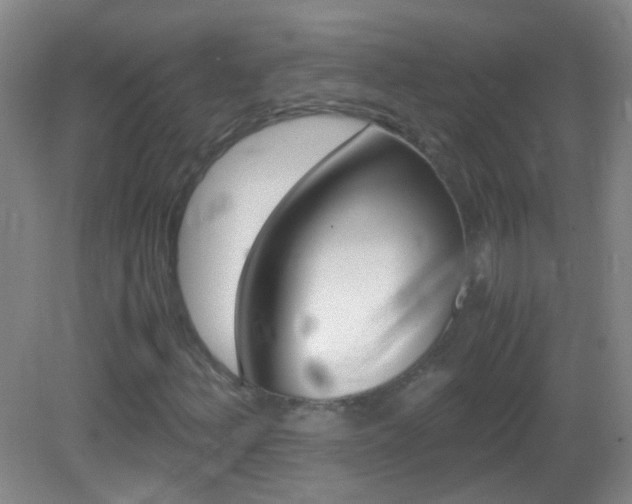 X0000083061156200702021028