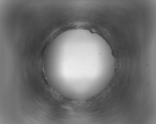 X0000083061158200702021028
