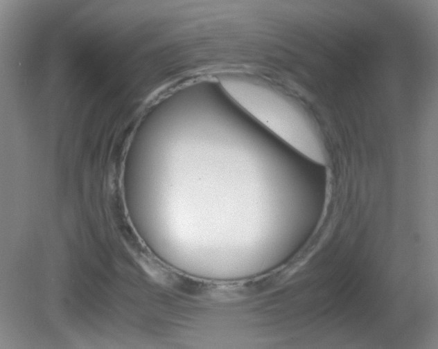 X0000083061161200702021028