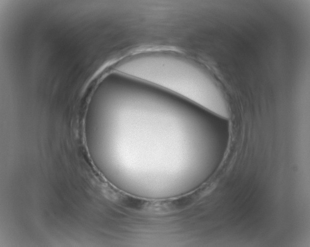 X0000083061165200702021028