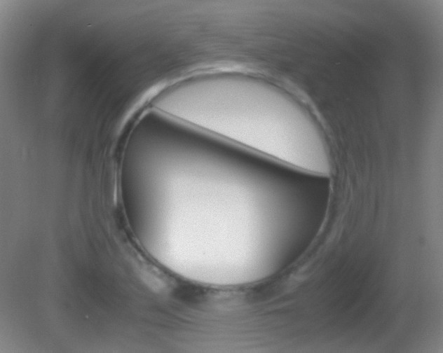 X0000083061171200702021028