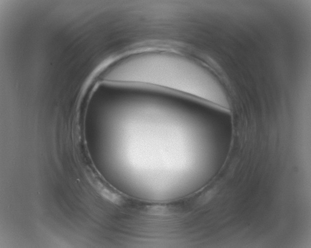X0000083061172200702021028