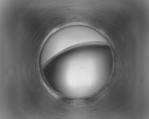 X0000083061181200702021028