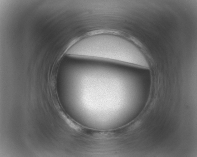 X0000083061185200702021028