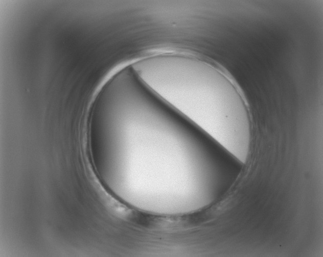 X0000083061195200702021028