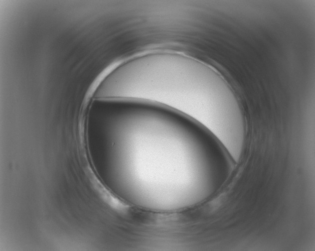 X0000083061196200702021028