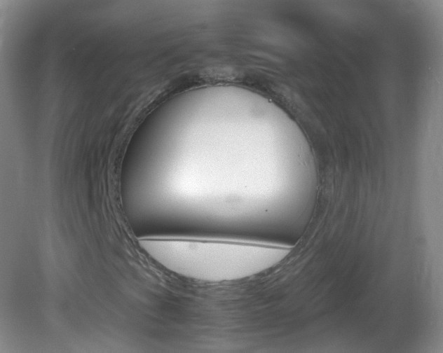 X0000083061201200702021027