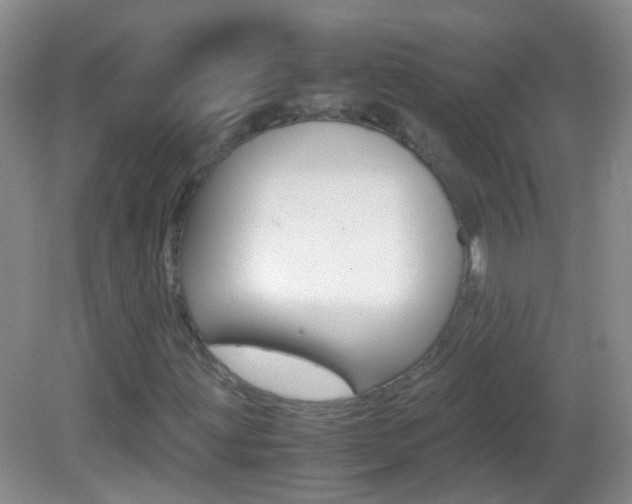 X0000083061203200702021027