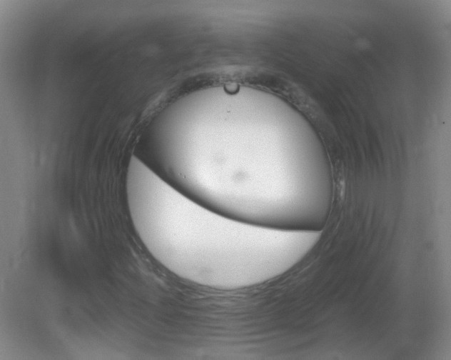 X0000083061204200702021027