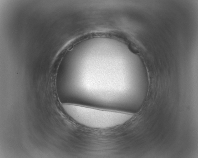 X0000083061208200702021027