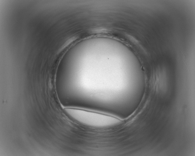 X0000083061209200702021027