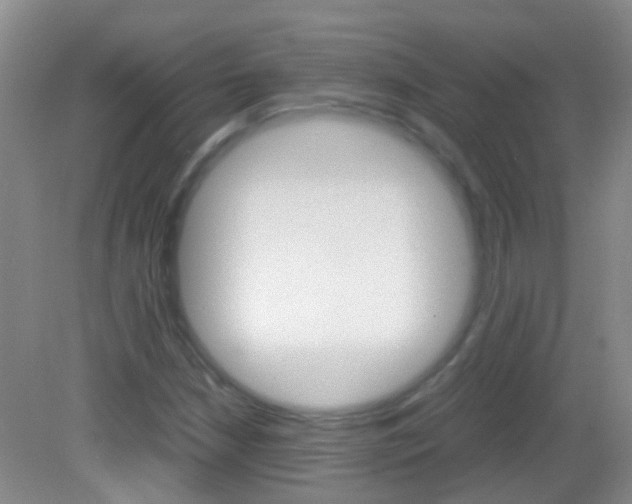 X0000083061210200702021027