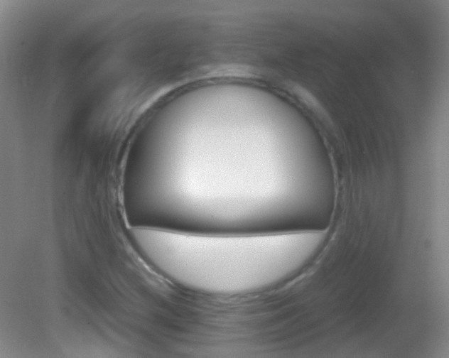 X0000083061212200702021027