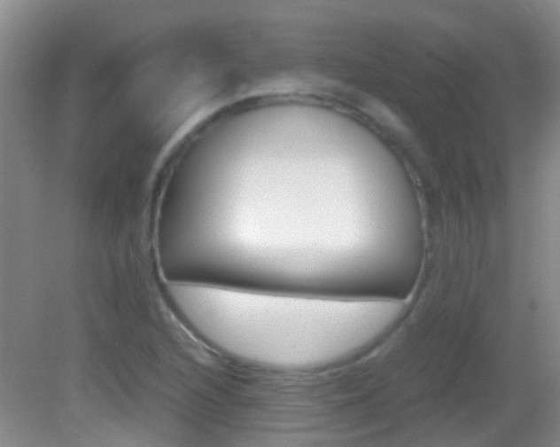 X0000083061216200702021027