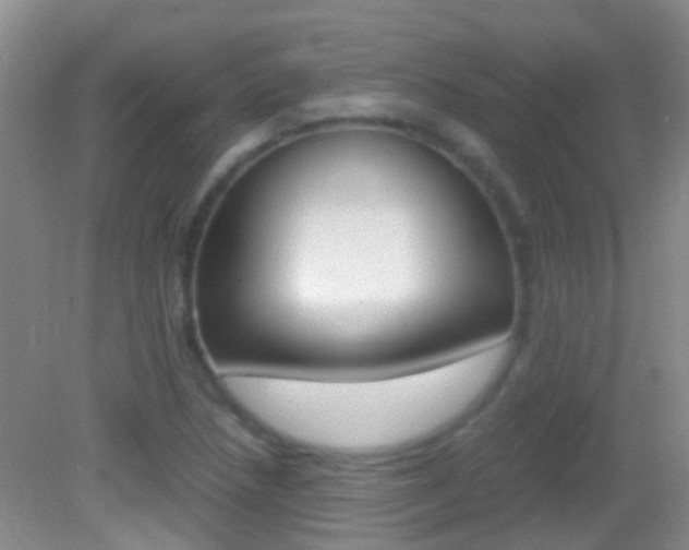 X0000083061218200702021027