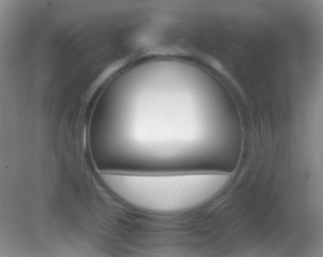 X0000083061221200702021027