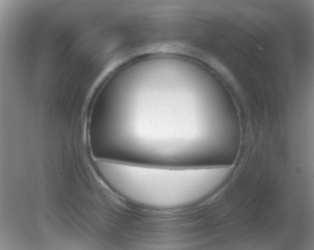 X0000083061224200702021027