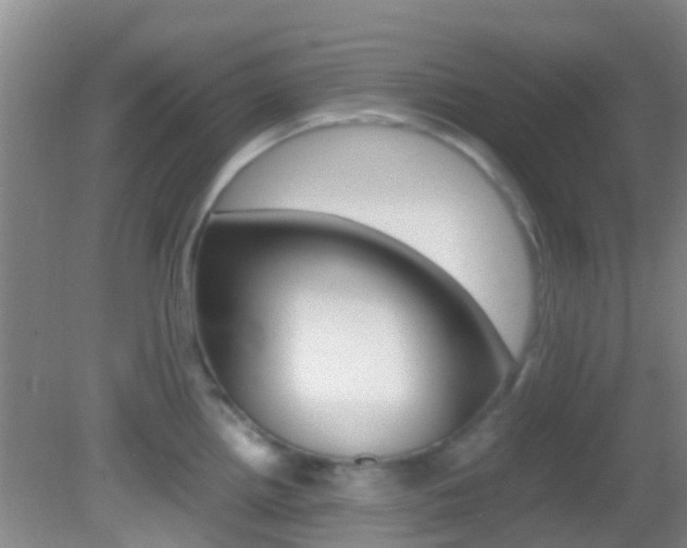 X0000083061242200702021028