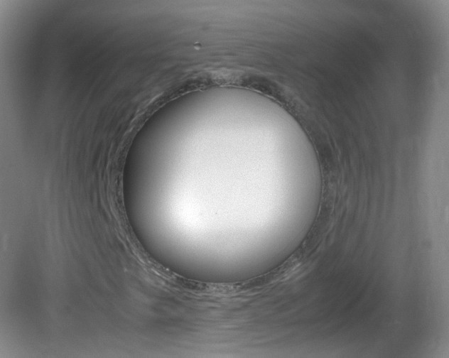 X0000083061249200702021027