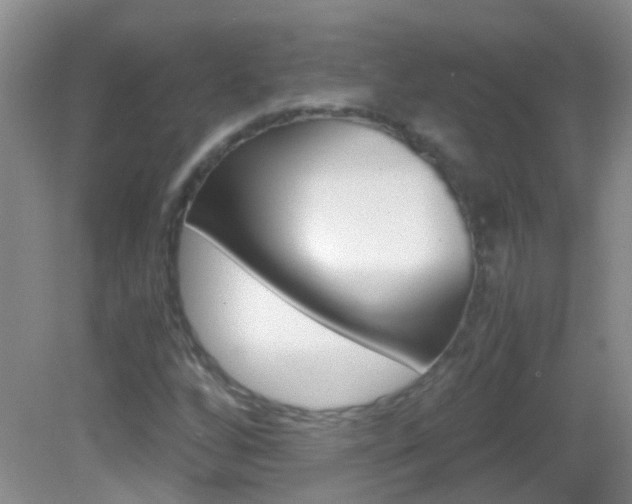 X0000083061256200702021027