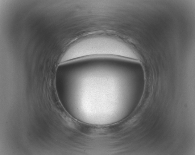 X0000083061257200702021027