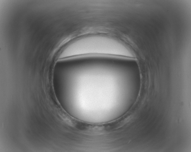 X0000083061261200702021027