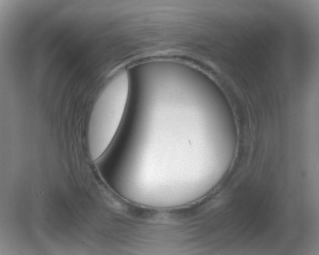 X0000083061265200702021027
