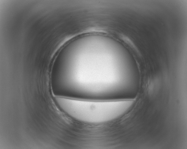 X0000083061268200702021027