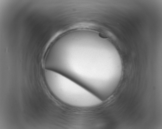 X0000083061275200702021026