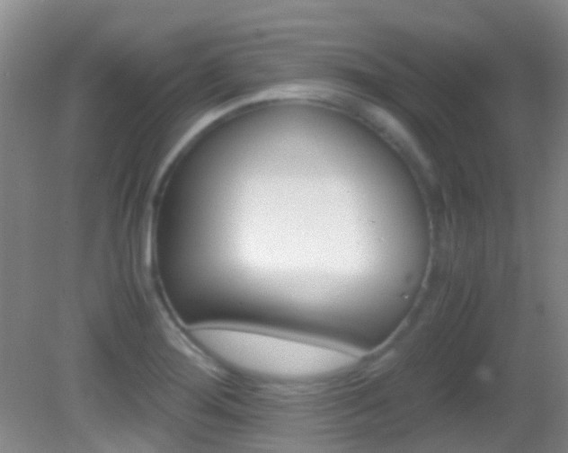 X0000083061276200702021026