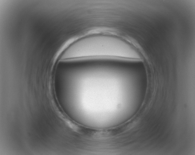 X0000083061277200702021026