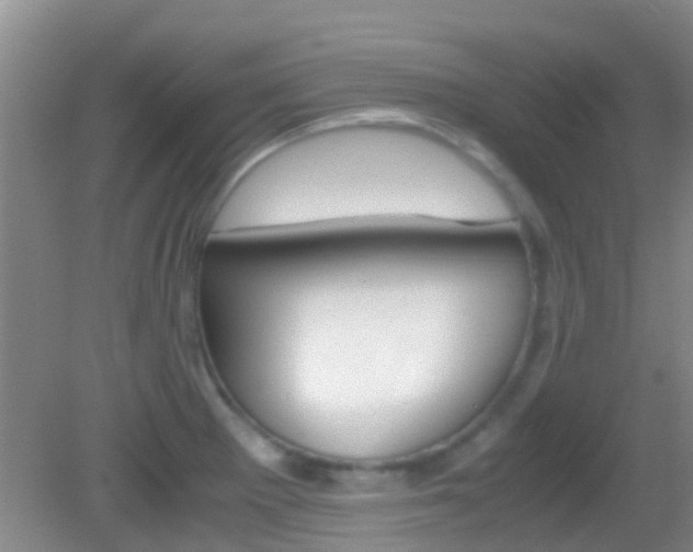 X0000083061281200702021026