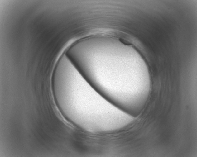 X0000083061283200702021026