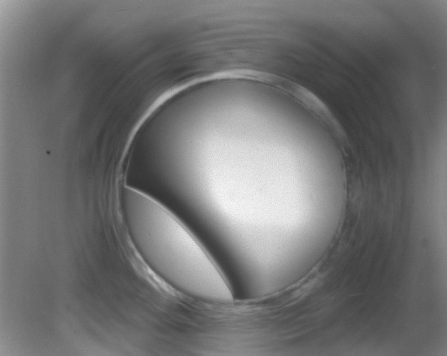 X0000083061292200702021026