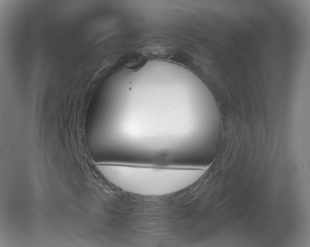X0000083061297200702021025