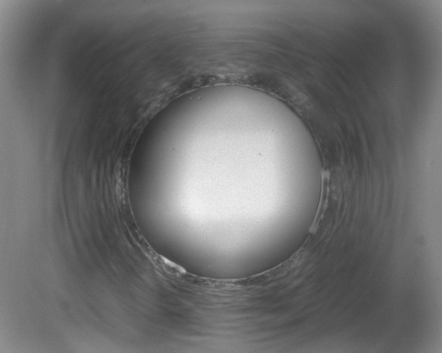 X0000083061298200702021025