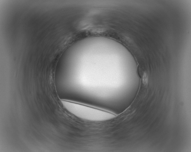 X0000083061299200702021025
