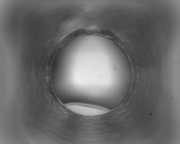 X0000083061301200702021025