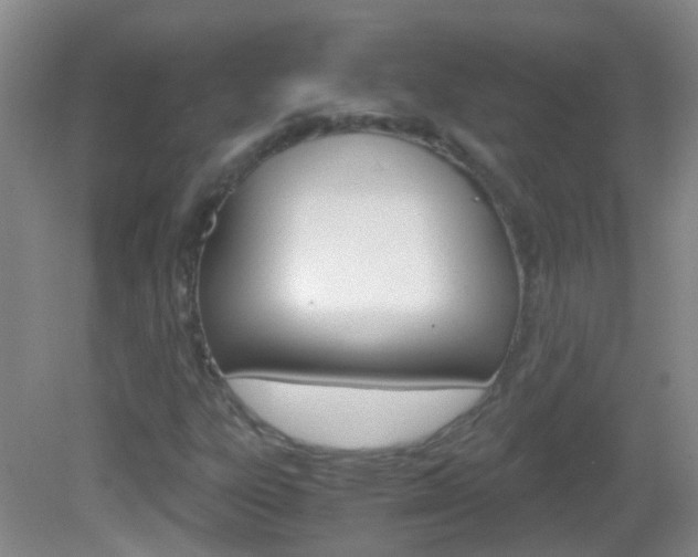 X0000083061303200702021025